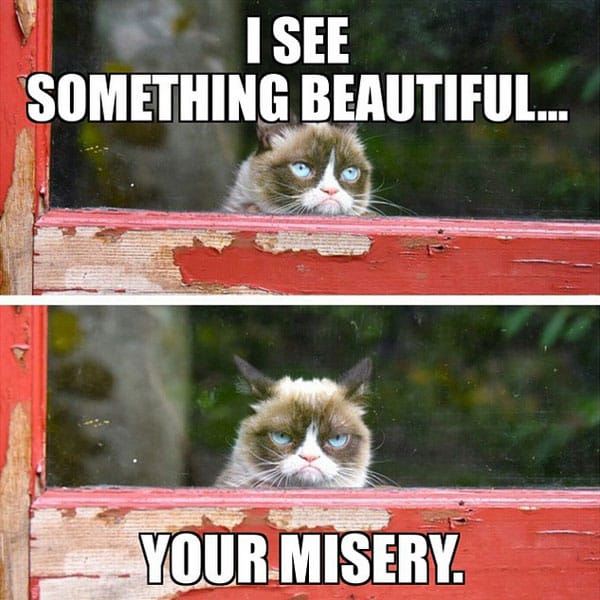 grumpy-cat-meme-18.jpg