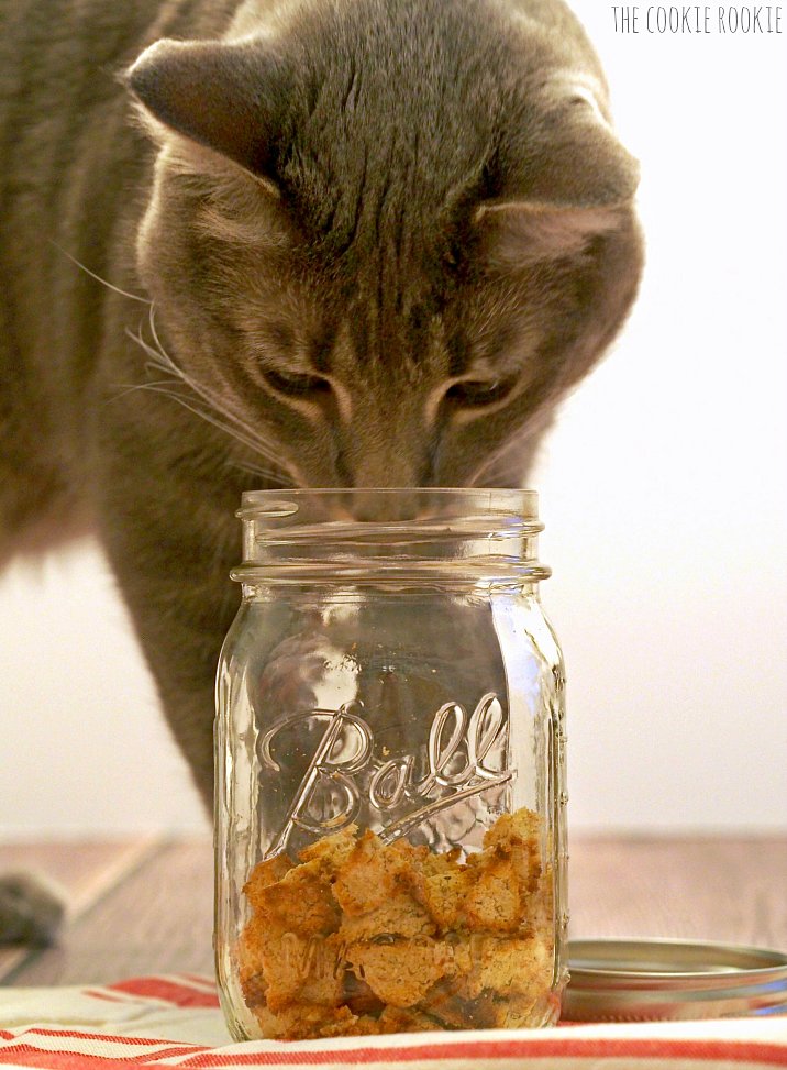 274c9a78_cat-treat-croutons-6.xxxlarge.jpg