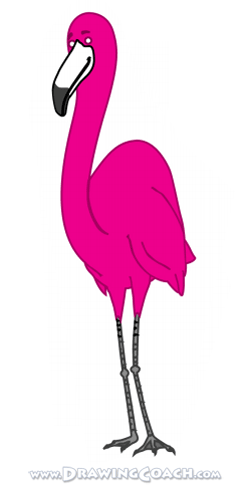 cartoon_flamingo_st6.gif