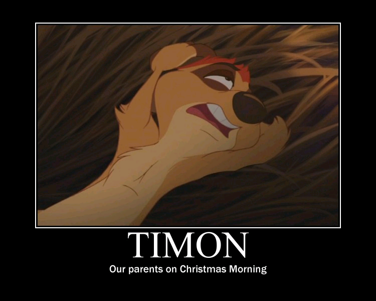 timon_motivator_by_brainyxbat-d9j5tge.png