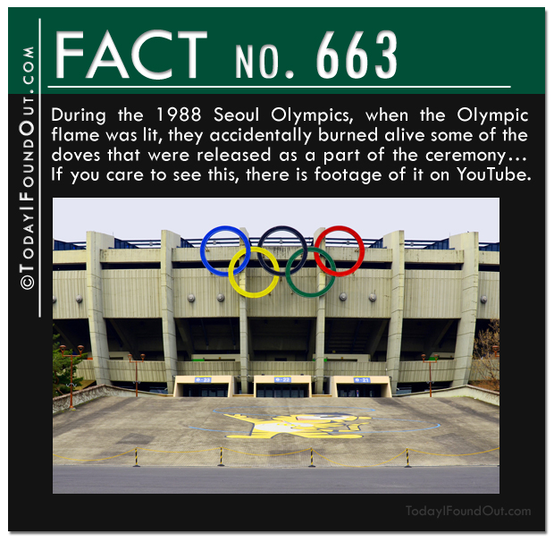 TIFO-Quick-Fact-663.jpg