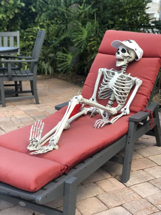 large.1543520293_ChairHogSkeleton.jpeg.770206e16af4381ab014a2089cdf69c5.jpeg