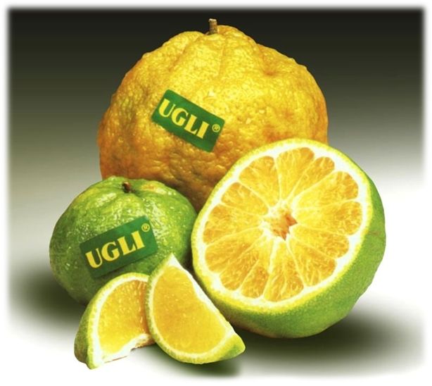 UGLI-Fruit-cut.jpg