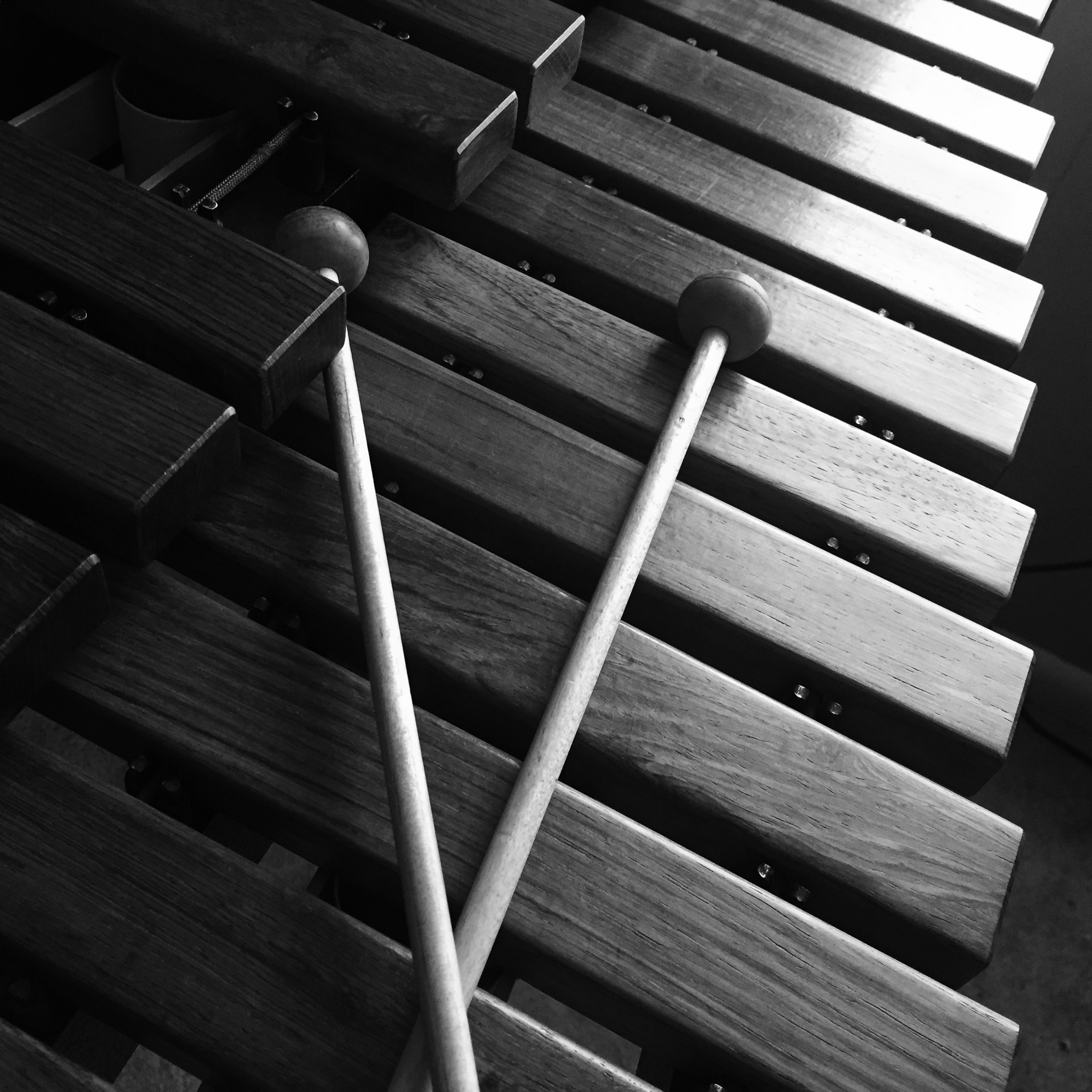 Stokes-xylophone.jpg