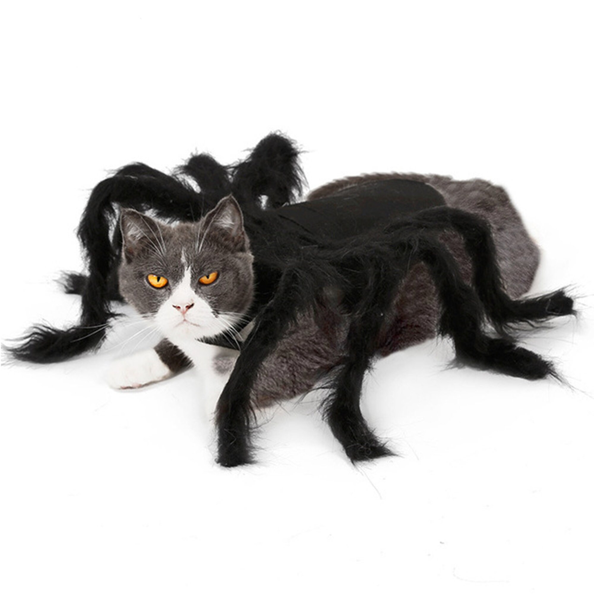 Halloween Spider Cat Clothes Pet Dress Dog Clothes Funny - Etsy UK