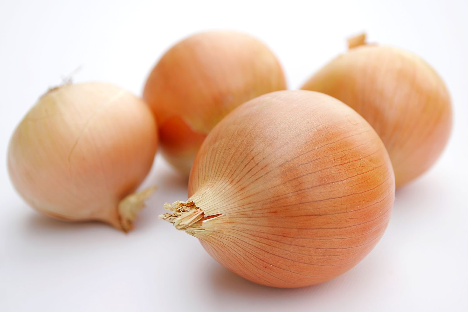 Onions.jpg