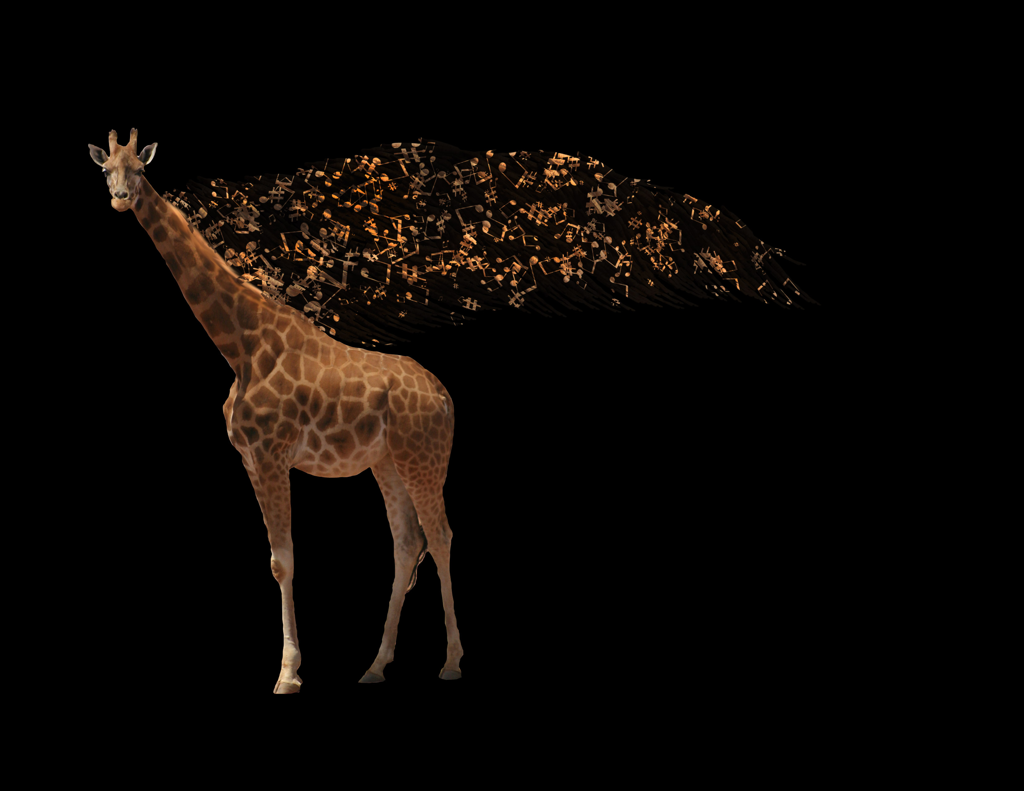 cassie-gowder-giraffe.jpg