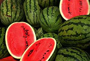 Watermelons_0F88A4E7D8BB4.jpg