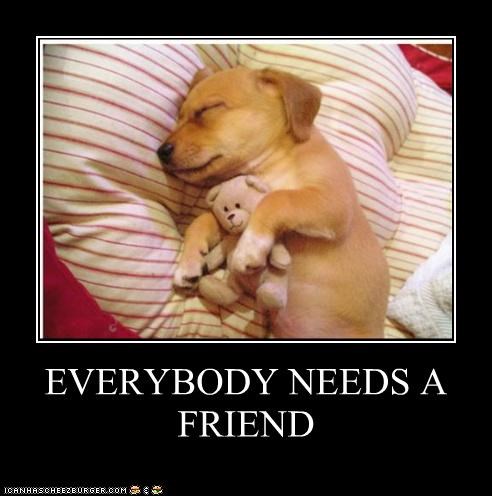 everybody-needs-a-friend