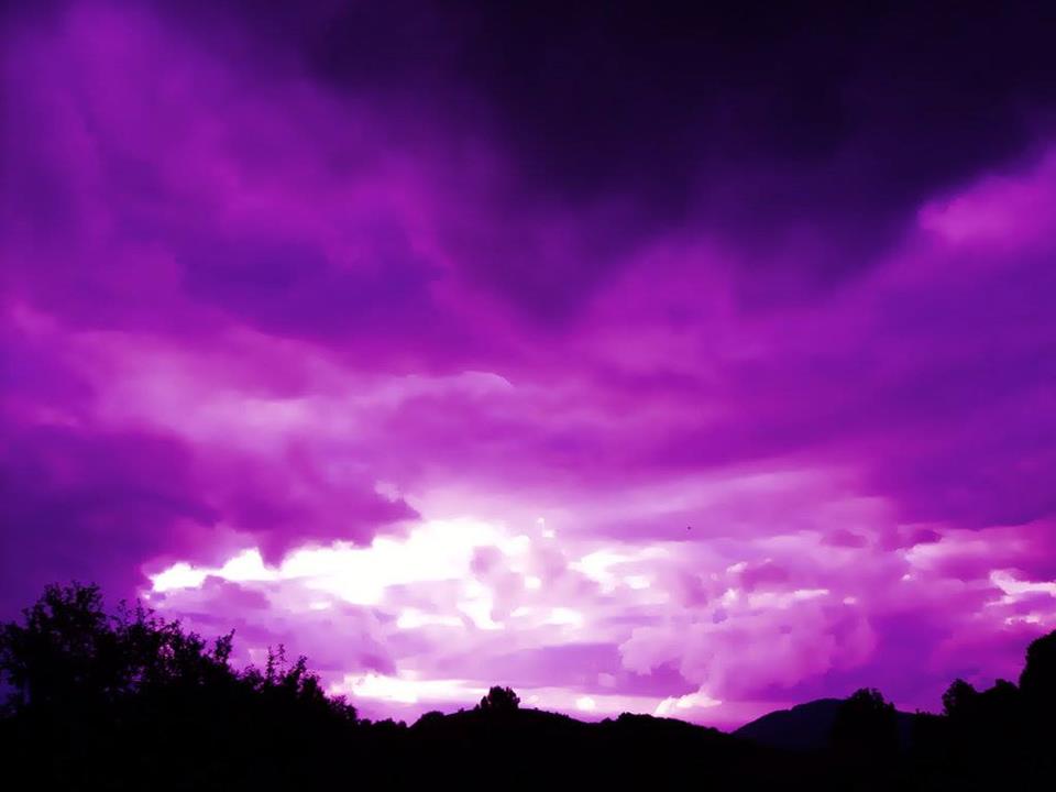 367293,xcitefun-purple-scene-4.jpg