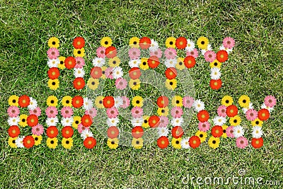 happy-birthday-flowers-flower-nature-meadow-grass-69378957.jpg