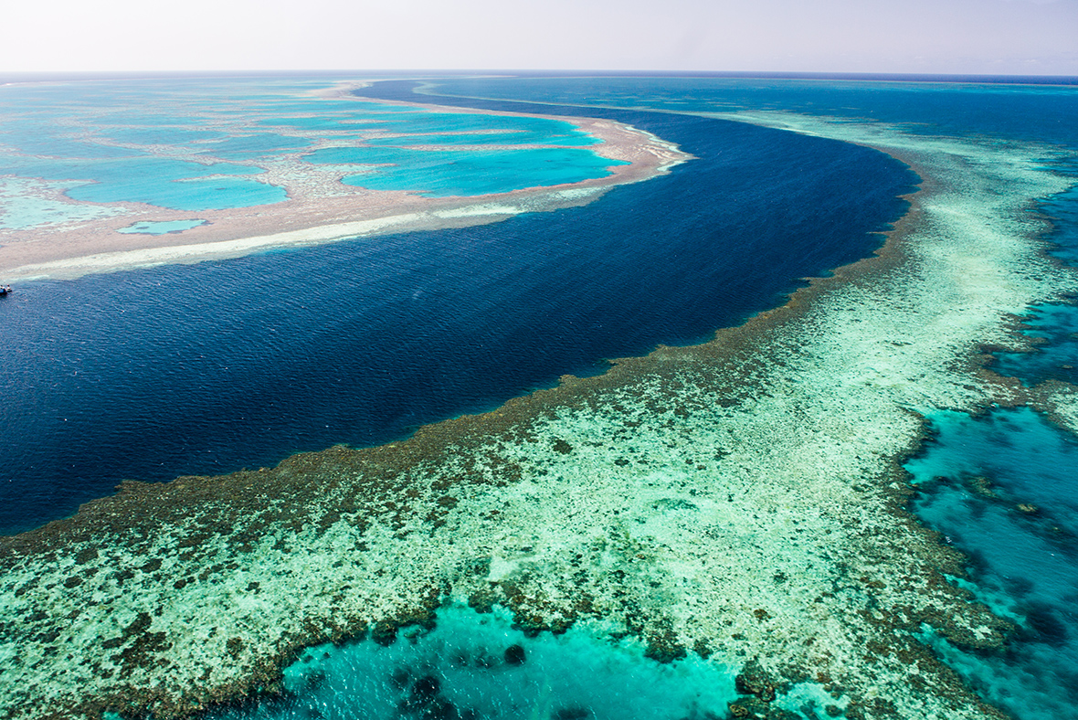 great-barrier-reef.jpg