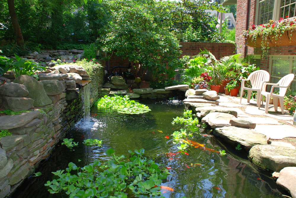 5backyard-pond-photo.jpg