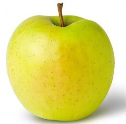 apple-tree-golden-delicious-malus-domestica.jpg