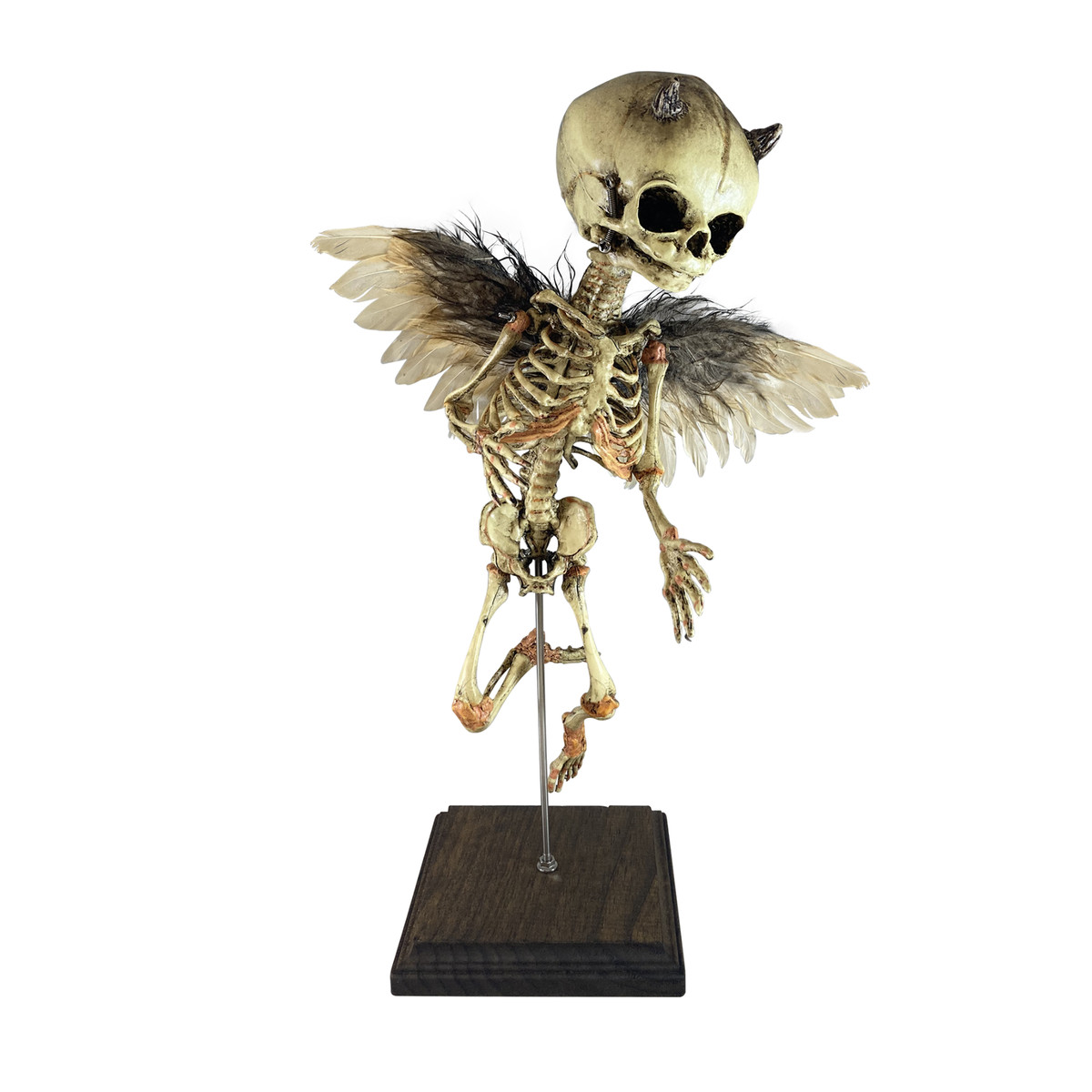 Incubus Rising Demon Devil Demonic Fetus Skeleton Gaff Oddity Satanic Skull  Bone | eBay Incubus Rising Demon Devil Demonic Fetus Skeleton Gaff Oddity Satanic Skull  Bone | eBay