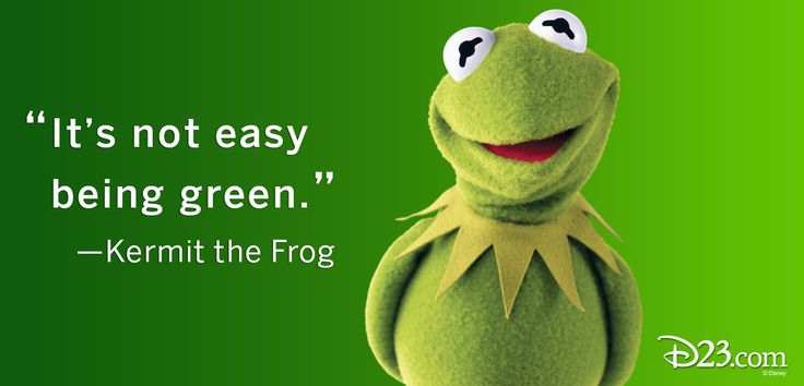 e64ddb372c1fa304b65e0c6fdc197d60--being-green-kermit-the-frog.jpg